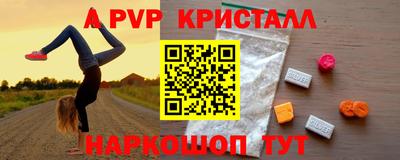 молекула духа Будённовск